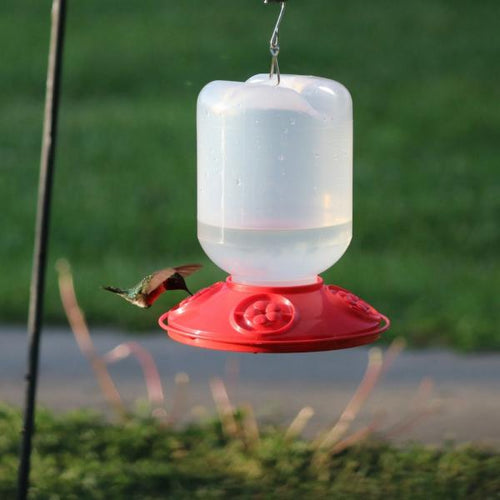 Songbird Essentials Dr. JB complete Switchable 48 oz Feeder with Red Flowers Bulk (48 oz)