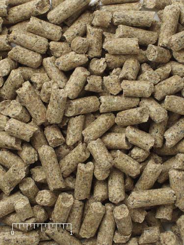 Mazuri® Llama Chews