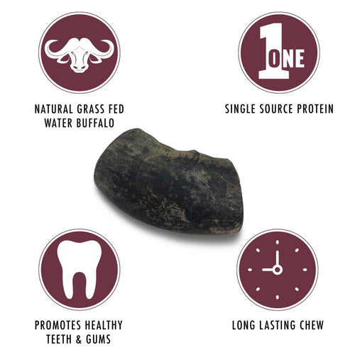 Wild Eats Water Buffalo Tuffie Cut Horn Dog Chew