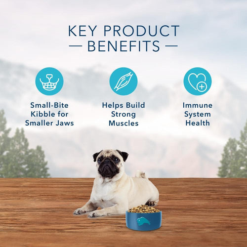 Blue Buffalo Wilderness Grain Free Natural Chicken Recipe High Protein Adult Small Bite Dry Dog Food