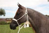Professional's Choice Cowboy Braided Rope Halter