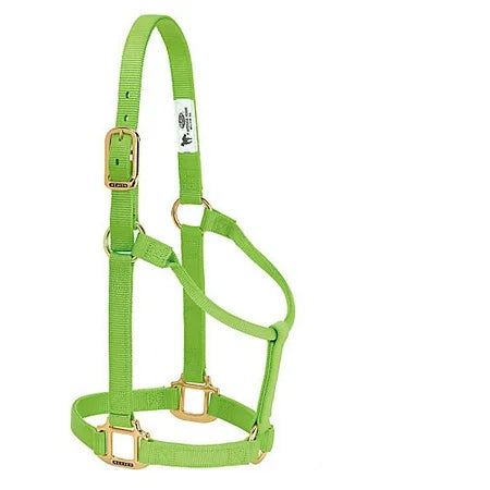 Weaver Original Non-Adjustable Halter , 1