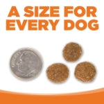 NutriSource® Turkey Meal & Barley Recipe Healthy Affordable Dry Dog Food