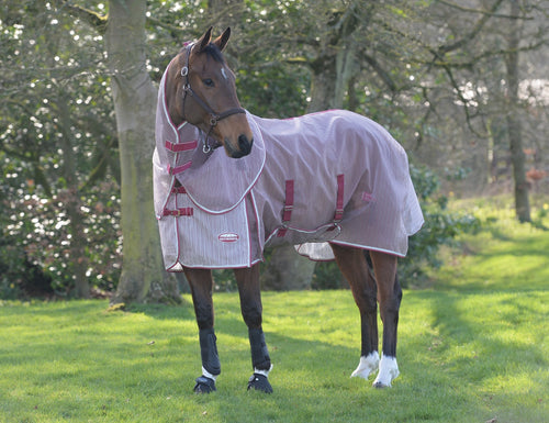 Weatherbeeta ComFiTec Ripshield Plus With Belly Wrap Detach A Neck