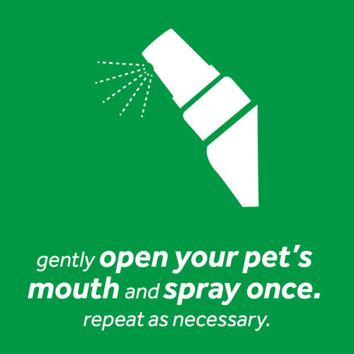 TropiClean Fresh Breath Peanut Butter Oral Care Spray for Pets