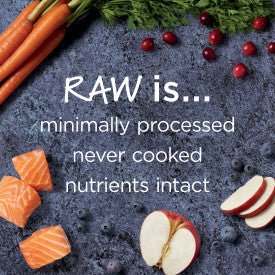 Nature's Variety Instinct Raw Boost Salmon Recipe Dry Dog Food