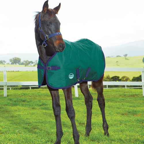 WEATHERBEETA 1200D FOAL STANDARD NECK MEDIUM II HUNTER/NAVY 39