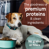Canidae PURE Grain Free, Limited Ingredient Dry Dog Food, Salmon and Sweet Potato