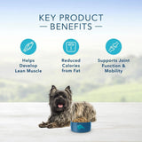Blue Buffalo Life Protection Healthy Weight Natural Chicken & Brown Rice Recipe Small Breed Adult Dry Dog Food