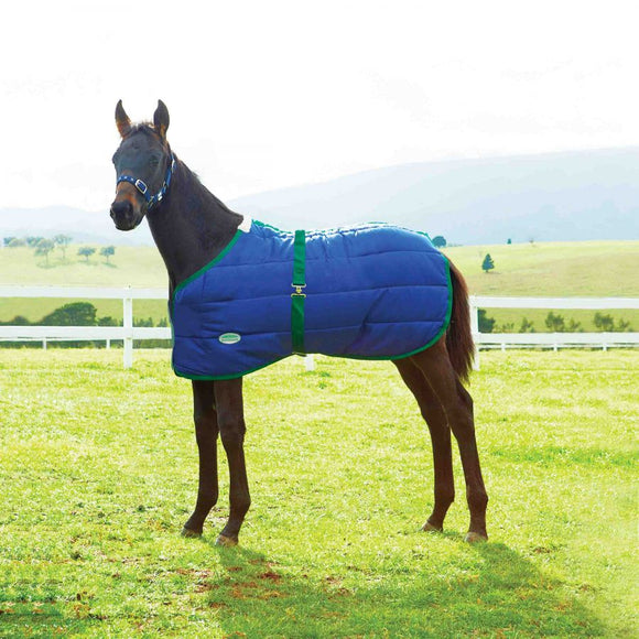 Weatherbeeta 420D Growing Foal Blanket (STANDARD NECK MEDIUM 42-57)