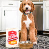 Stella & Chewy's Stella's Essentials Cage-Free Chicken & Ancient Grains Recipe Dry Dog Food